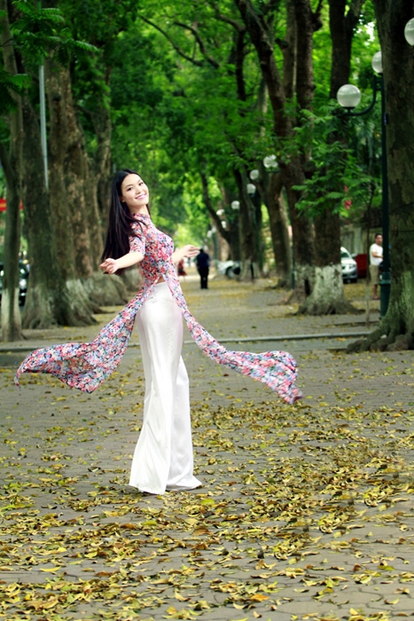 Hoa hậu Việt Nam,Hoa hậu Diễm Hương,Hoa hậu Ngọc Hân,Hoa hậu Thùy Dung,Hoa hậu Ngọc Diễm