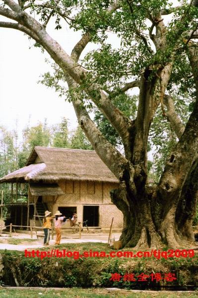 Tây Du Ký 1986,Lục Tiểu Linh Đồng,Từ Thiếu Hoa,Mã Đức Hoa,Diêm Hoài Lễ,đạo diễn dương khiết