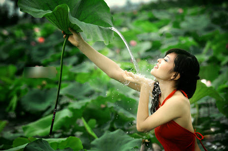 Hot girl Việt,Hải Băng,Vũ khúc sen