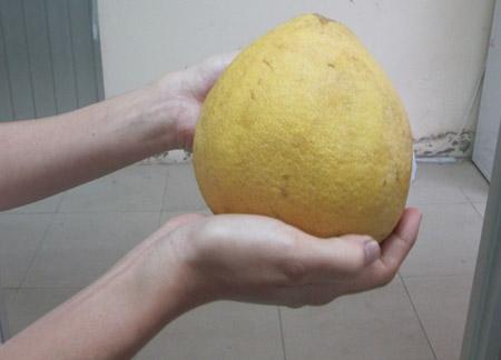 Bưởi tẩm hóa chất,Thực phẩm bẩn,Thực phẩm tẩm hóa chất