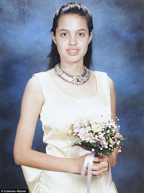Angelina Jolie 2013,Brad Pitt, nhà Jolie Pitts,Angelina Jolie cắt bỏ ngực