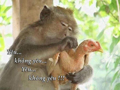 ảnh vui,ảnh chế,hài hước,ảnh tếu,ảnh hài hước