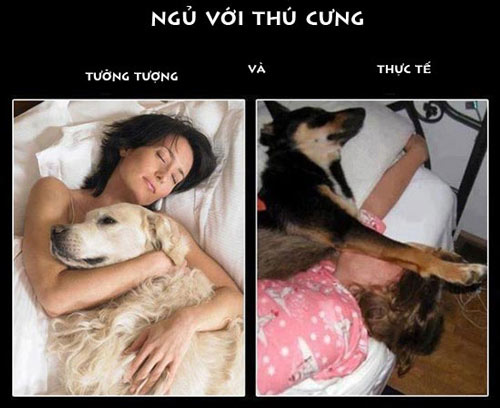 ảnh vui,ảnh chế,hài hước,ảnh tếu,ảnh hài hước