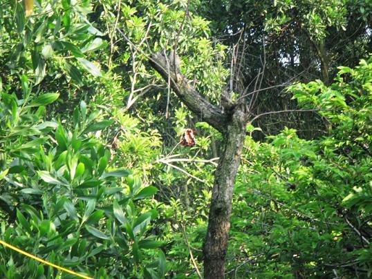 Mâu thuẫn gia đình,Mâu thuẫn vợ chồng,chồng giết vợ