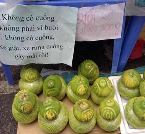 ảnh vui,ảnh chế,hài hước,ảnh tếu,ảnh hài hước