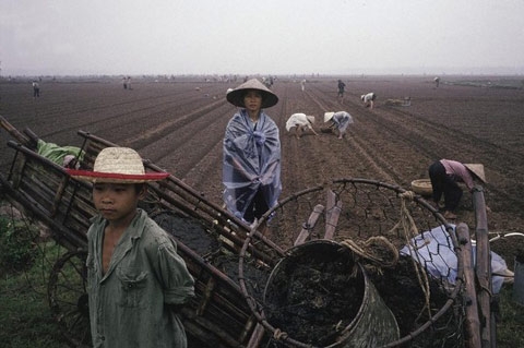 Hà Nội Thời Xưa,Ký ức Hà Nội,Lễ hội Việt Nam