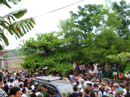 Trộm Chó,Cẩu tặc,Đánh chết trộm chó