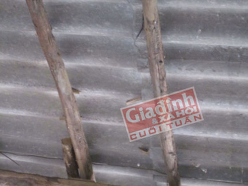 Chuyện lạ 4 phương,Chuyện lạ thế giới,Phi thường,Bức tường biết ngáy