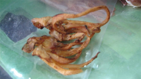 Thực phẩm bẩn,Thực phẩm chứa hóa chất,Vệ sinh an toàn thực phẩm,Mực giả