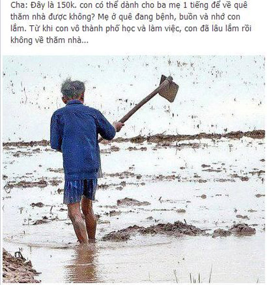 Cư dân mạng,Cộng đồng mạng,Bức ảnh cảm động,Lễ Vu Lan