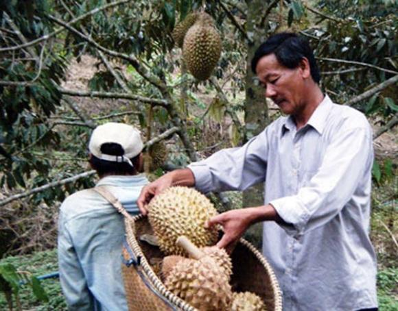 Thực phẩm bẩn,Thực phẩm chứa hóa chất,Vệ sinh an toàn thực phẩm