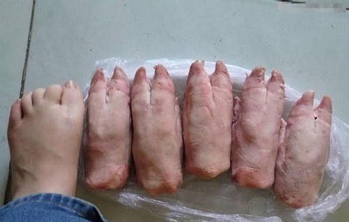 hài hước,ảnh hài hước,ảnh hài