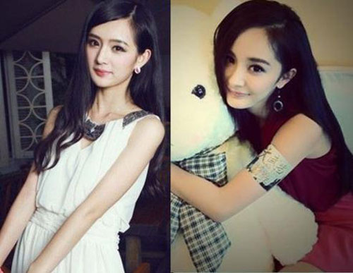 Cư dân mạng,Cộng đồng mạng,Bản sao Dương Mịch