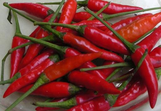 Thời kỳ kinh nguyệt,rong kinh,Ngày đèn đỏ