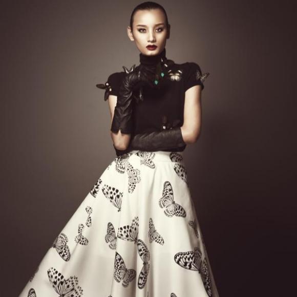 Lê Thúy,Tai nạn giao thông,Vietnam's Next Top Model