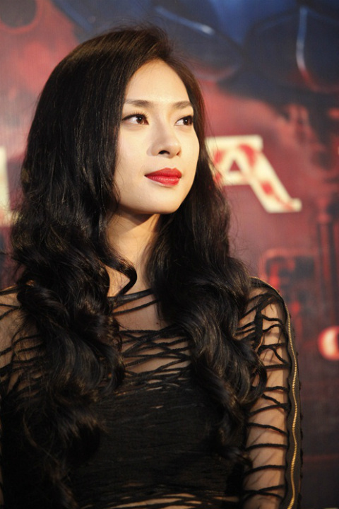 Ngô Thanh Vân 2013,Đả nữ Ngô Thanh Vân,Vân Ngô