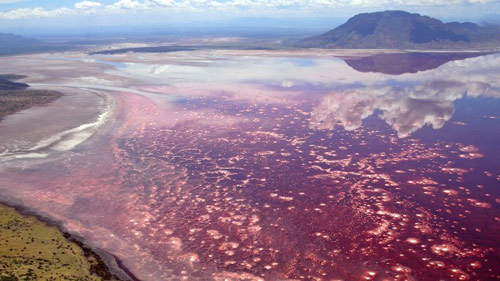 Hồ nước nóng, Hồ nước tự nhiên, Hồ nước kỳ lạ, Hồ nước màu hồng