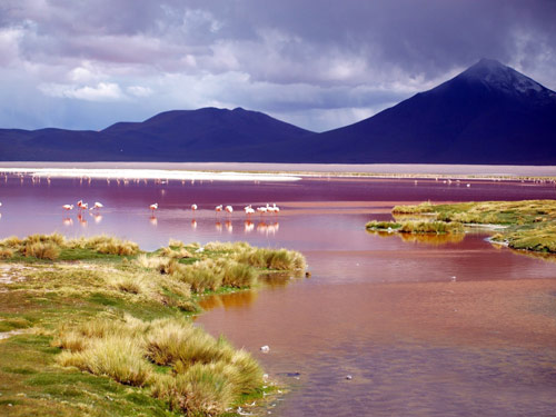 Hồ nước nóng, Hồ nước tự nhiên, Hồ nước kỳ lạ, Hồ nước màu hồng