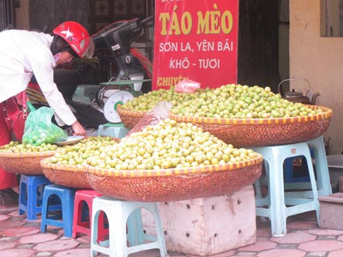 Quả Táo mèo,quả táo mèo,táo mèo Trung Quốc trộn hàng Tây Bắc bán ở vỉa hè