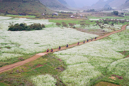 Tây Bắc, Du lịch Tây Bắc, Sapa, Mộc Châu