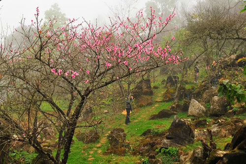 Tây Bắc, Du lịch Tây Bắc, Sapa, Mộc Châu