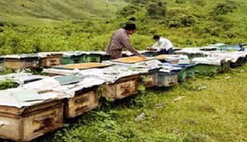 Bạn trẻ,bạn trẻ 9X,những bạn trẻ 9x kiếm 20 triệu đồng/tháng