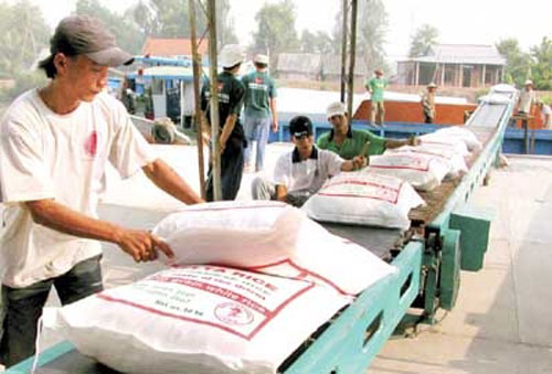 Gạo,gạo Việt Nam,gạo Việt Nam sẽ thống lĩnh thị trường trong nhiều tháng tới