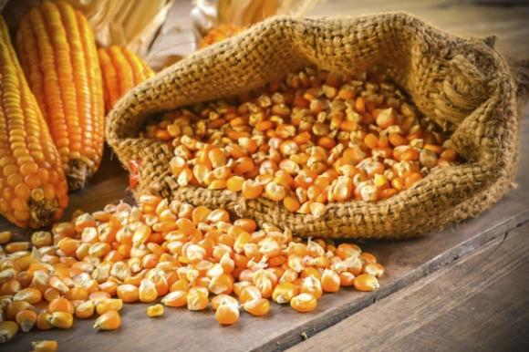 Thực phẩm,những thực phẩm có hạn sử dụng gần như vĩnh viễn