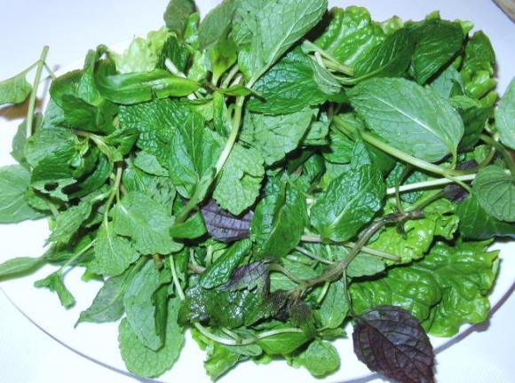 Thực phẩm,thực phẩm cấm kỵ không được ăn cùng thịt lợn