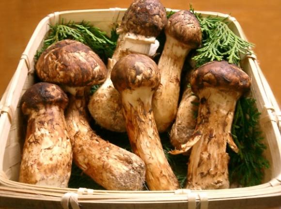 Thực phẩm,thực phẩm hiếm,10 thực phẩm hiếm nhất thế giới