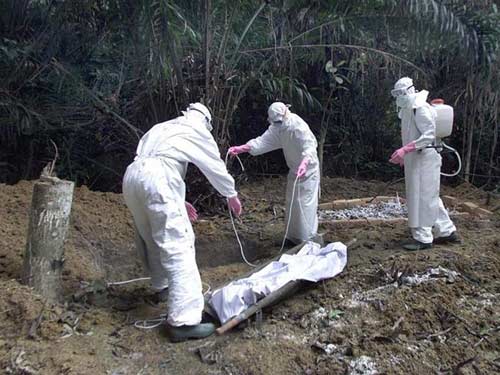 Virut,5 loại virus tử thần còn nguy hiểm hơn cả Ebola
