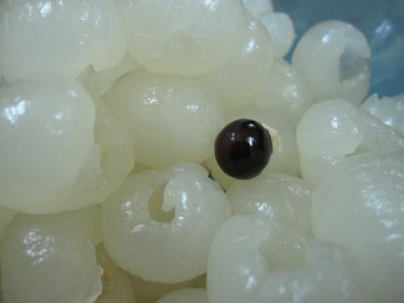 Mất ngủ,bệnh mất ngủ,bí quyết trị bệnh mất ngủ đơn giản từ thiên nhiên