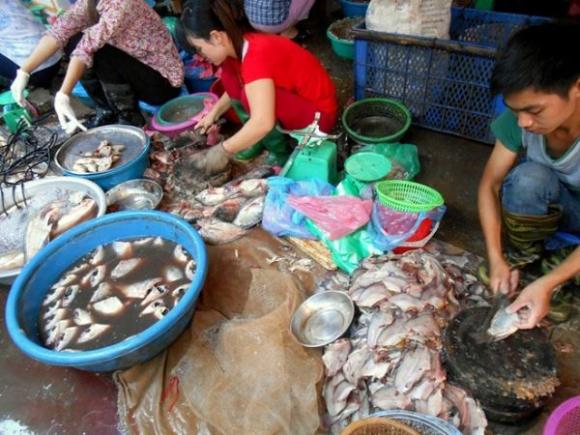 Cá ươn, Thực phẩm bẩn, Vệ sinh an toàn thực phẩm