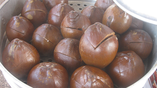 Gà ác tiềm nước dừa tươi, Đặc sản phương nam, Ẩm thực phương nam