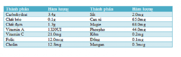 Rau sam,công dụng của rau sam,kỳ diệu từ rau sam