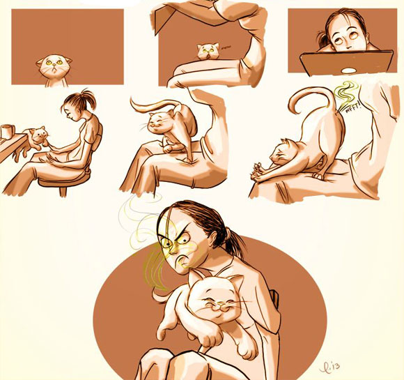 Cười,ảnh cười,cười với những người nuôi mèo mới hiểu