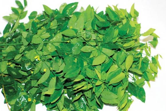 Thực phẩm,những thực phẩm tăng trí thông minh cho trẻ