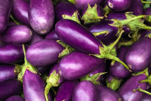 Cà tím, Thanh nhiệt, giải độc, Ngừa ung thư