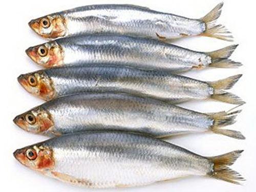 Ăn cá,ăn cá để bảo vệ thính lực