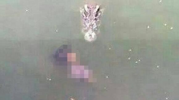 Tự tử,phụ nữ tự tử,kinh hãi người phụ nữ tự tử bằng cách cho 1.000 con cá sấu xẻ thịt