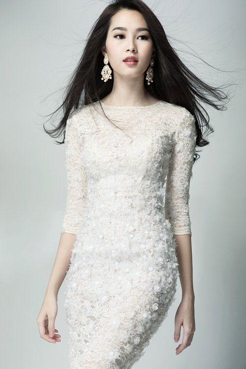 Hoa hậu Đặng Thu Thảo, Đặng Thu Thảo, Hoa hậu Việt Nam 2012