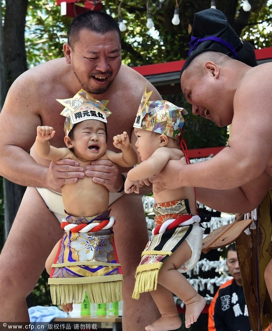 cuộc thi doạ em bé khóc, Sumo Nhật doạ em bé khóc, cuộc thi em bé khóc cùng Sumo, Sumo Nhật Bản, cuộc thi kỳ lạ, lễ hội kỳ lạ, kỳ quặc