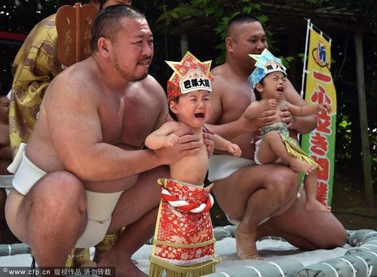 cuộc thi doạ em bé khóc, Sumo Nhật doạ em bé khóc, cuộc thi em bé khóc cùng Sumo, Sumo Nhật Bản, cuộc thi kỳ lạ, lễ hội kỳ lạ, kỳ quặc