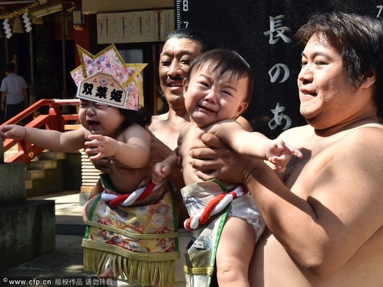 cuộc thi doạ em bé khóc, Sumo Nhật doạ em bé khóc, cuộc thi em bé khóc cùng Sumo, Sumo Nhật Bản, cuộc thi kỳ lạ, lễ hội kỳ lạ, kỳ quặc