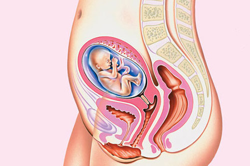 Bộ phận,bộ phận cơ thể,8 bộ phận được tăng cân khi mẹ có bầu