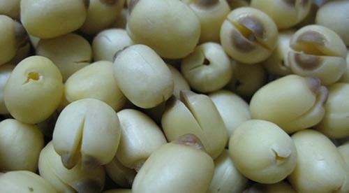 Thảo dược,thảo dược giúp ngủ ngon