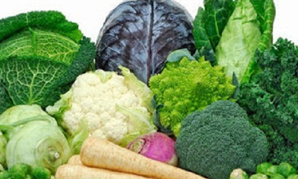 Rau cải,rau cải ngừa ung thư,3 loại rau họ cải giúp ngăn ngừa bệnh ung thư hiệu quả