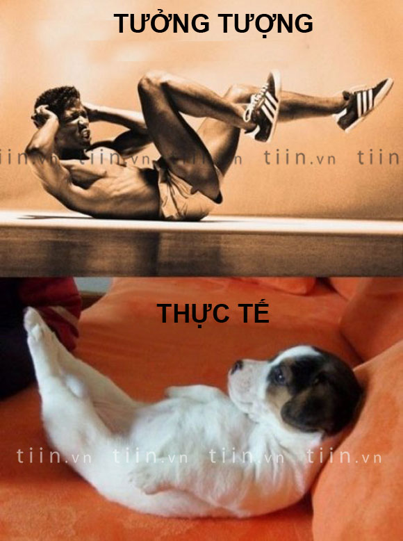 ảnh vui,ảnh chế,hài hước,ảnh tếu,ảnh hài hước