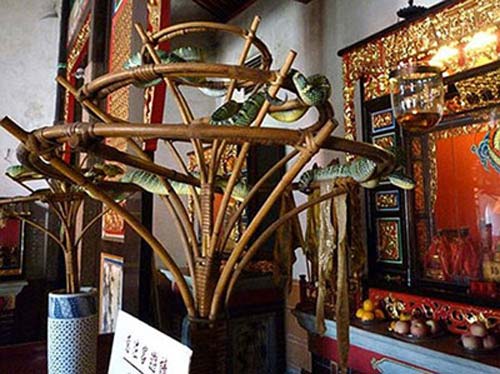 Chuyện lạ 4 phương,Chuyện lạ thế giới,Phi thường,Chuyện lạ có thật,Chuyện lạ khó tin