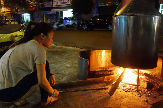 Mỹ Tâm, Họa mi tóc nâu,Ca sĩ Mỹ Tâm